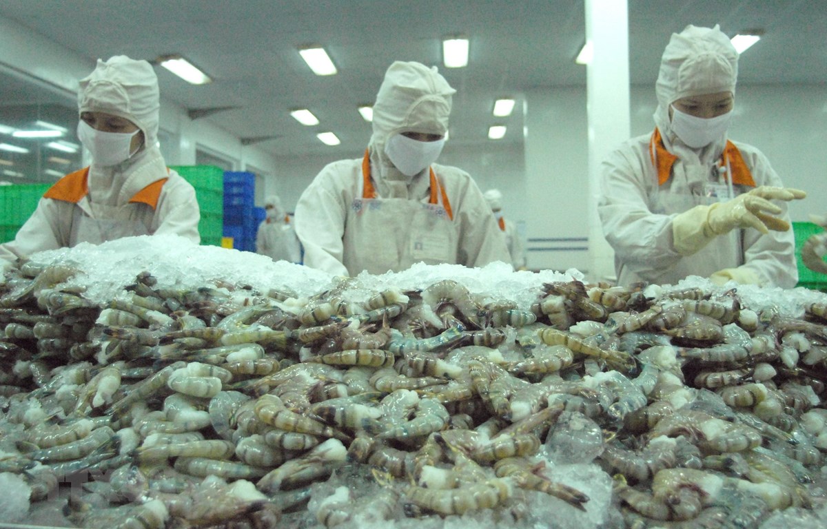 Le Vietnam cherche à promouvoir la défense commerciale en participant à des ALE